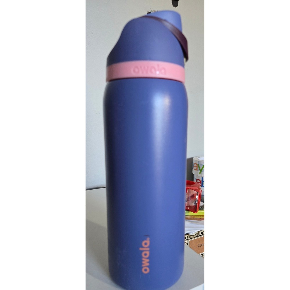 Owala FreeSip 24oz Insulated Stainless Steel Water Bottle Grape Escape Purple